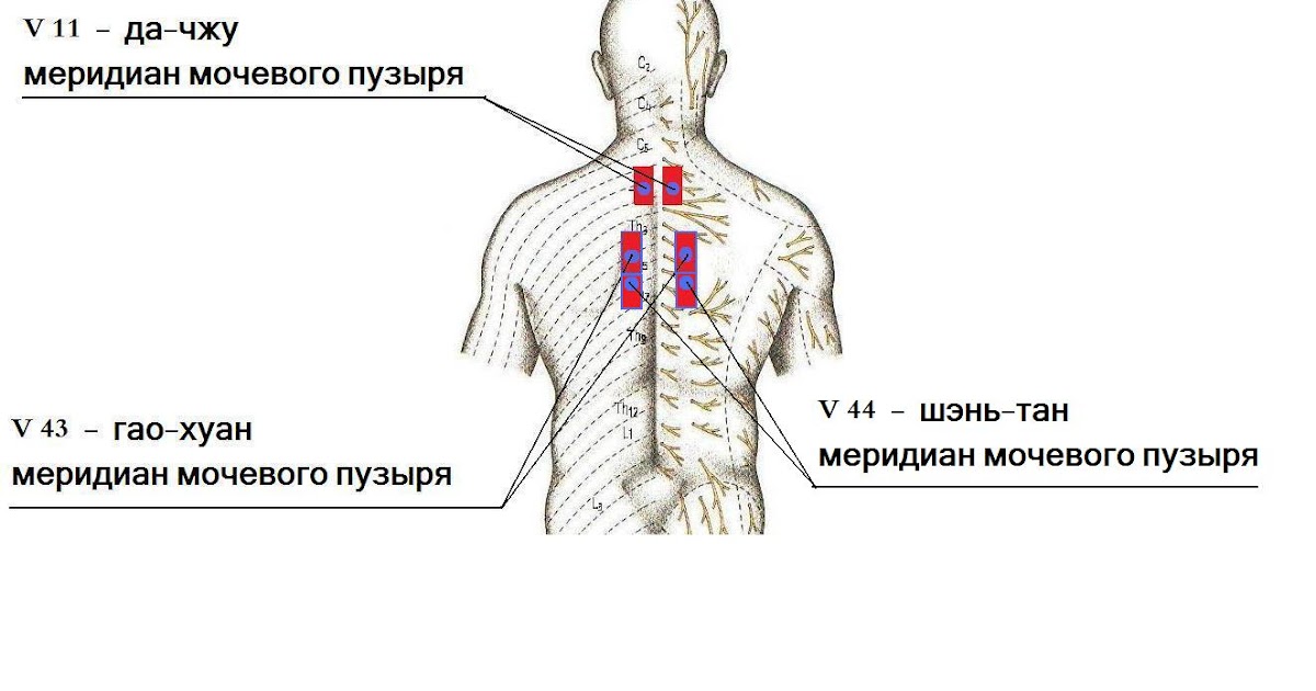 Ибс ишемическая болезнь сердца лечение